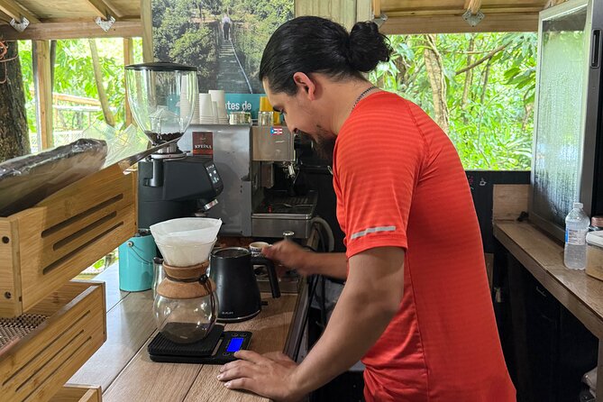 Coffee & Waterfalls Tour: from the mountains to the cup - Río La Planta near Arecibo: clear water and calm sections