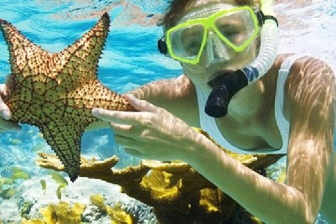 Combo El Yunque Rainforest and San Juan Snorkeling with Transport - Why This Combo Feels Worth $175