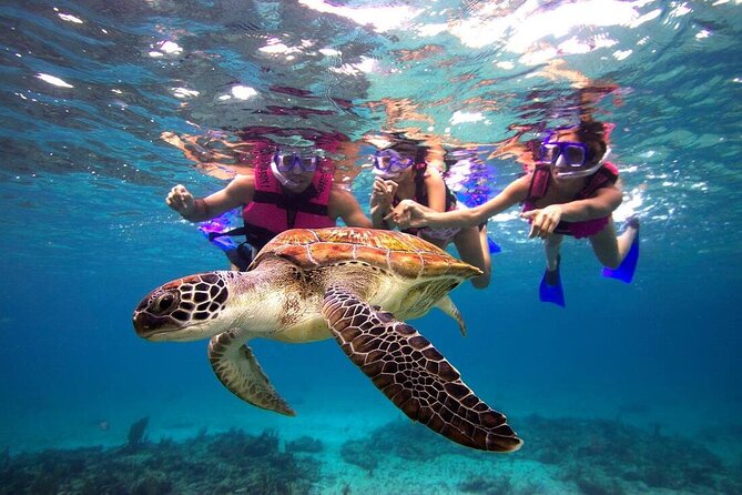 Combo El Yunque Rainforest and San Juan Snorkeling with Transport - Guide Quality: The Human Part That Makes It Work