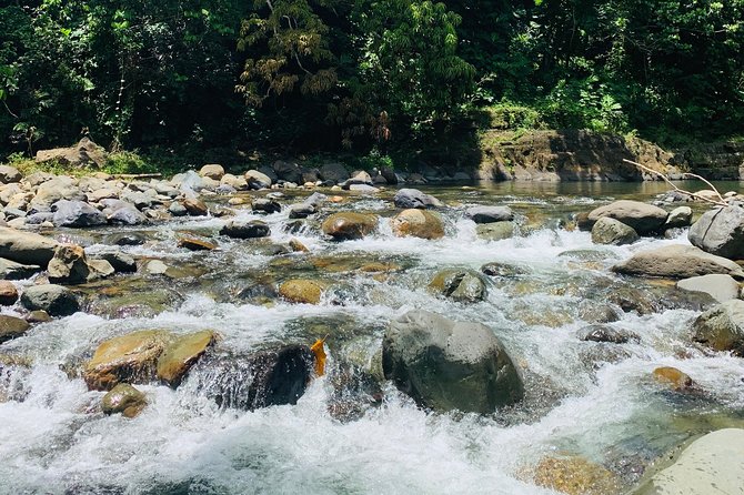 Concrete Jungle to the Actual Jungle, The Complete Package Tour - Who this tour is best for (and who might want a different day)
