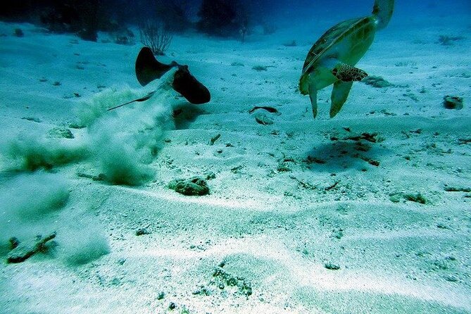 Culebra Snorkel and Beach Day with Lunch and Drinks - Lunch, drinks, and the onboard rhythm