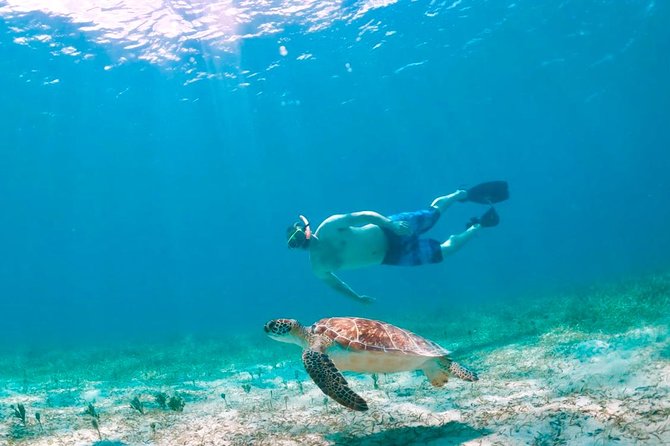 Culebra Snorkel and Turtle Adventure with Transport - Getting from Ceiba to Culebra: the ferry ride and why it matters
