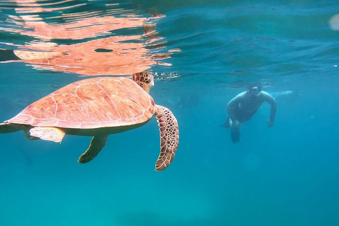 Culebra Snorkel and Turtle Adventure with Transport - Tamarindo and Tamarindo-to-Reserve snorkeling: calm instructions first