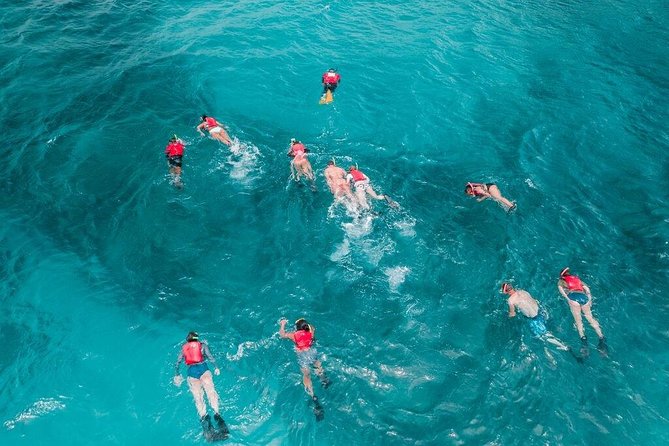 Culebra Snorkel and Turtle Adventure with Transport - Value and price: what $145.84 buys (and how DIY compares)