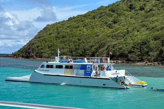 Culebra Snorkeling Tour by Catamaran from Fajardo - Reef Snorkeling at Carlos Rosario or Luis Peña: What to Expect Underwater