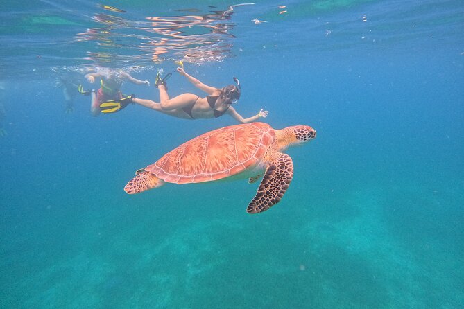 Culebra Swim with Turtles Adventure and Flamenco Beach by Ferry - From Ceiba Ferry Terminal to Culebra: start early, then relax