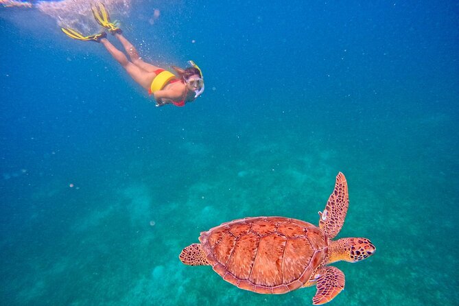 Culebra Swim with Turtles Adventure and Flamenco Beach by Ferry - The real trade-offs: waiting, snacks, and communication