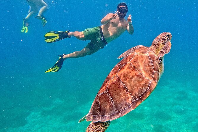 Culebra Swim with Turtles Adventure and Flamenco Beach by Ferry - Tamarindo Beach snorkeling: the turtle swim requires real stamina