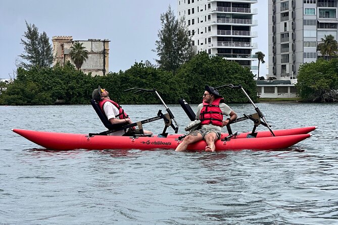 Day Adventure Chiliboats Waterbike – Condado Lagoon - Wildlife spotting in the estuary: what to watch for