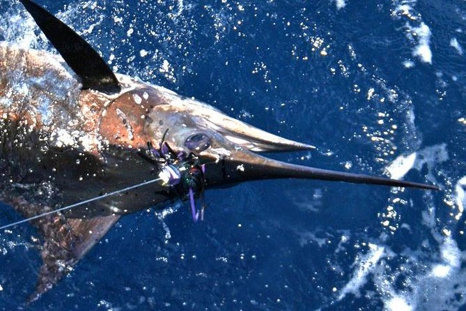 Deep Sea Fishing Private Boat Charter in San Juan - Should you book? A practical decision guide