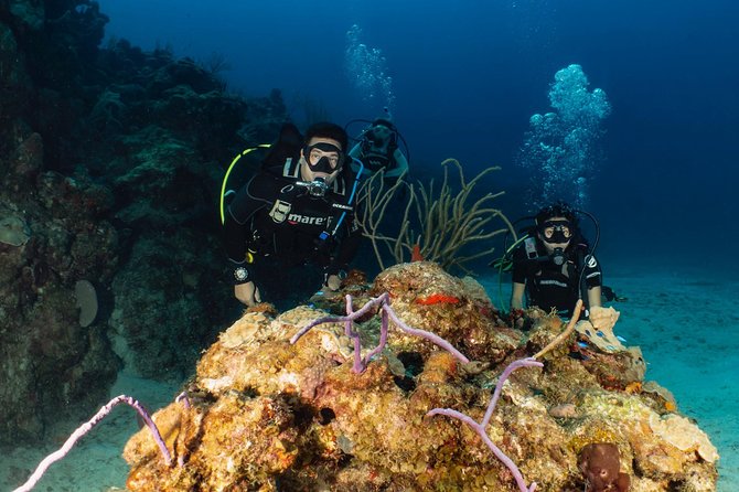 Discover Culebra: 2-Tank Scuba Diving - Key highlights