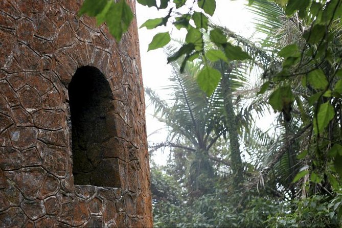 Discover El Yunque National Park: Half-Day Rainforest Tour - Why El Yunque fits perfectly into a half-day