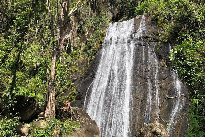 Discover El Yunque National Park: Half-Day Rainforest Tour - El Portal Visitor Center: your fast pass to rainforest context