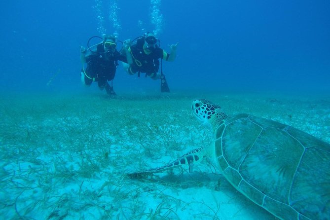 Discover Fajardo: 2-Tank Scuba Diving - Key highlights
