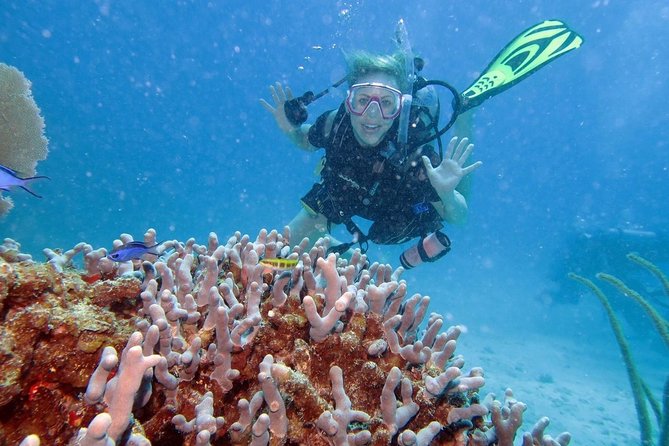 Discover Fajardo: 2-Tank Scuba Diving - What This 5.5-Hour Fajardo Program Really Gives You