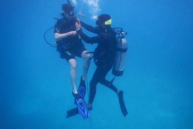 Discover Fajardo: 2-Tank Scuba Diving - First Tank Session: One-on-One Coaching You Can Actually Use