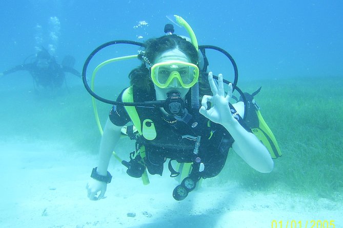 Discover Fajardo: 2-Tank Scuba Diving - Second Tank Session: Guided Reef Time on Cordillero
