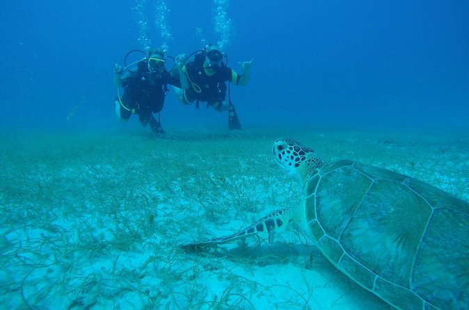 Discover Fajardo: 2-Tank Scuba Diving - Equipment, Gear, Snacks, and the Small Stuff That Adds Value