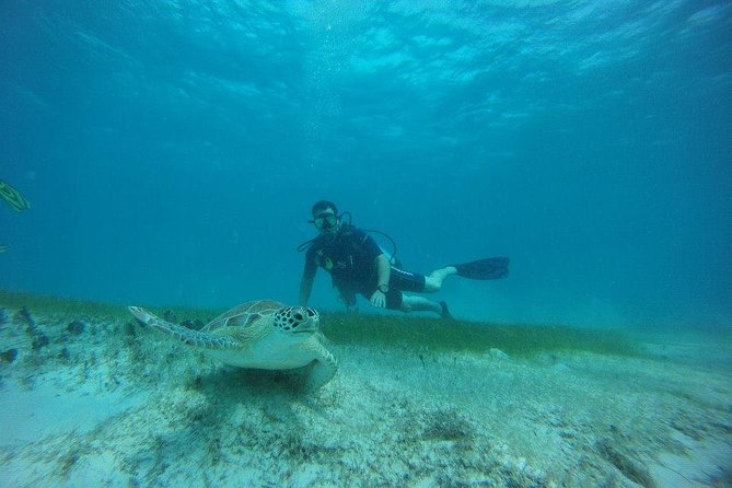 Discover Fajardo: 2-Tank Scuba Diving - Marina Puerto Del Rey Start: Where the Morning Comes Together
