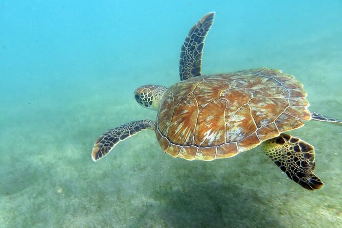 Discover Scuba Diving in San Juan - Escambrón Marine Park: a place built for first-timers
