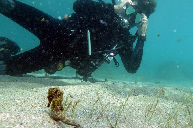 Discover Scuba Diving in San Juan - Your day at Scuba Dogs: facilities and logistics that reduce stress