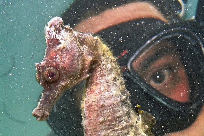 Discover Scuba Diving in San Juan - After the water: rinse, gear off, then enjoy the beach