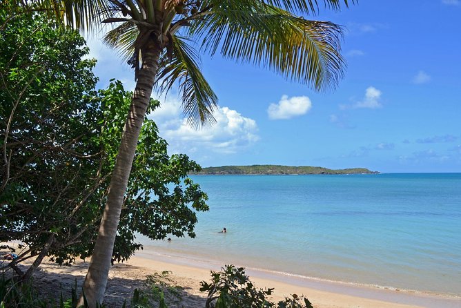 Discover Scuba Diving in San Juan: Perfect for First-Time Divers - Gear, towels, water, and what you should double-check
