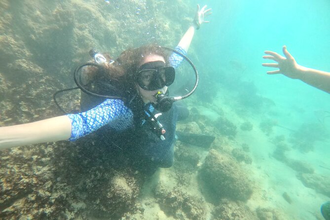 Discover Scuba Diving in San Juan: Perfect for First-Time Divers - Logistics at the Caribe Hilton: parking, meeting point, and timing