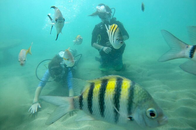Discover Scuba Diving in San Juan: Perfect for First-Time Divers - Who should book this, and who might want a different setup