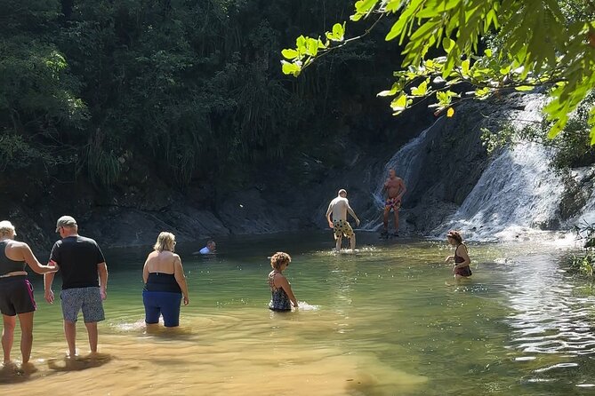 Don Chencho Waterfalls and Natural swimming pool - The Bayamón bakery stop: short, sweet, and local