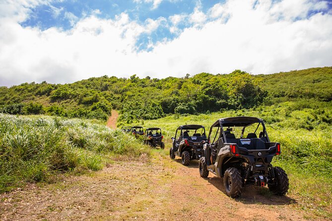 Dos Mares and Rainforest UTV Adventure Tour in Fajardo - Dos Mares and Rainforest UTV Adventure in Fajardo: The Real Vibe