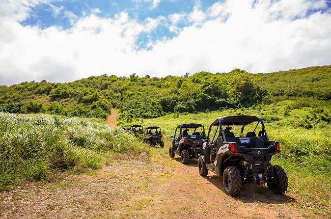Dos Mares and Rainforest UTV Adventure Tour in Fajardo - Stop 2: El Yunque National Forest—Rainforest Ecology on the Move
