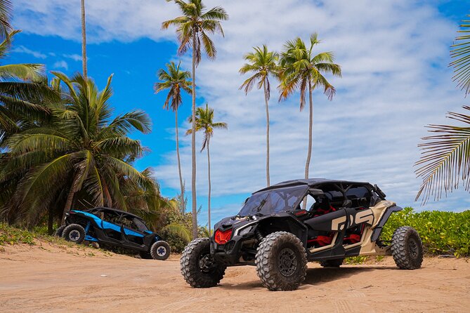 Drive a UTV Can-Am on a Beach Tour in San Juan Puerto Rico - Why this Loíza beach UTV tour feels different from a city day