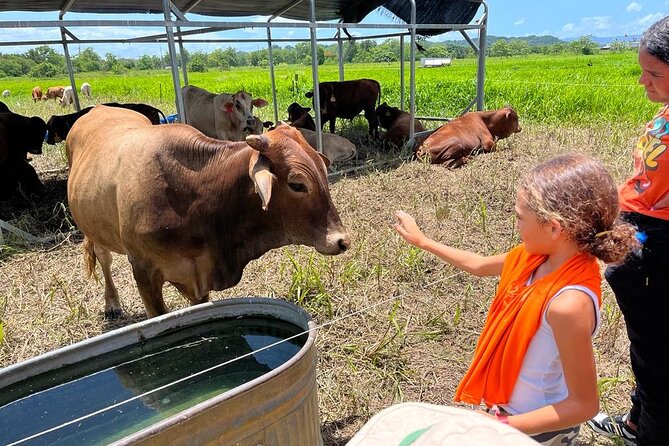 Eco Friendly Farming Tour to Explore Dorado's Most Beautiful Farm - Key things to know before you go