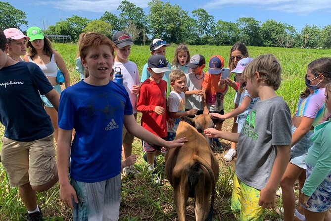 Eco Friendly Farming Tour to Explore Dorado's Most Beautiful Farm - Why Finca Pastoreo feels like a working farm, not a show
