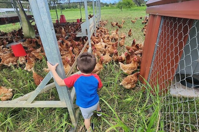 Eco Friendly Farming Tour to Explore Dorado's Most Beautiful Farm - Five pasture-raised practices you will actually see