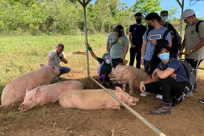 Eco Friendly Farming Tour to Explore Dorado's Most Beautiful Farm - What the tour teaches you about regenerative farming (without the buzzwords)