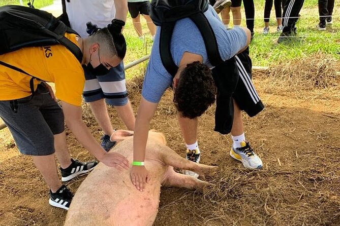 Eco Friendly Farming Tour to Explore Dorado's Most Beautiful Farm - Adding the Giant Grass Maze: a 3-mile outdoor mystery