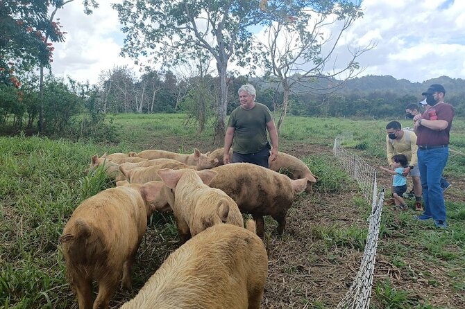 Eco Friendly Farming Tour to Explore Dorado's Most Beautiful Farm - Price and value: is $20 a good deal in Dorado?