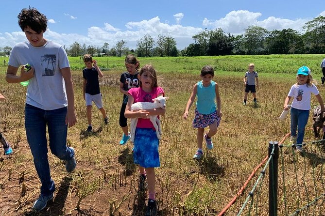 Eco Friendly Farming Tour to Explore Dorado's Most Beautiful Farm - Meeting José Luis at the farm store (and what happens next)