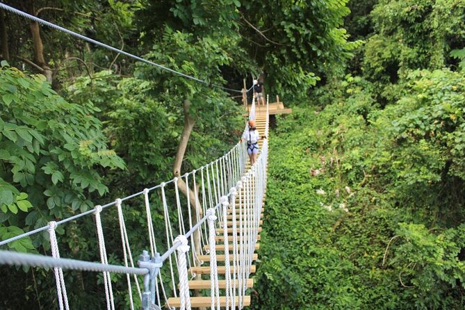 El Yunque Adventure Trail - A quick look at what makes this El Yunque trail work