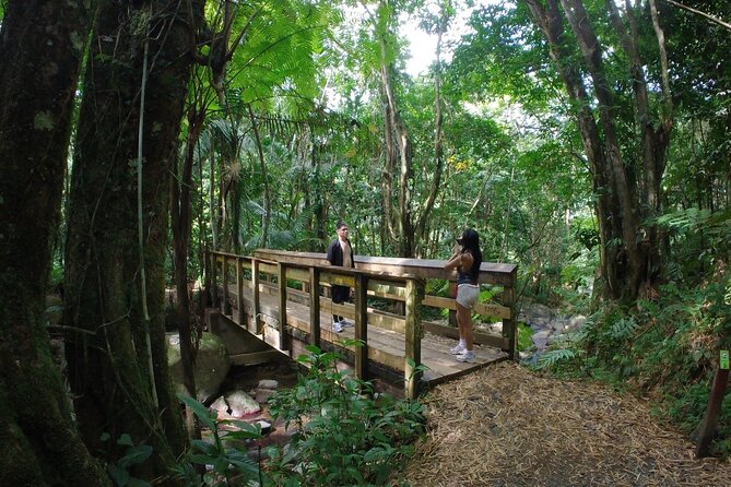 El Yunque Beach Jetski + Rainforest Hike Adventure Tour - The Bridge From Ocean to Forest: What the Schedule Changes