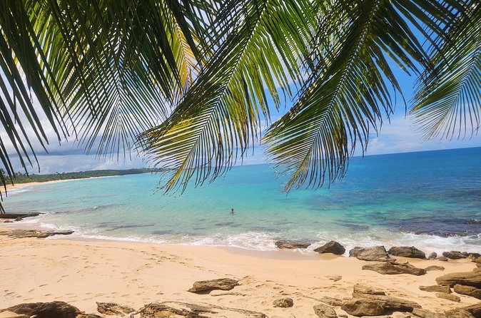 El Yunque & Beach Tour: Waterslide, Waterfall, Food, & Photos - Jumping From Rocks and Hanging in the Natural Pool