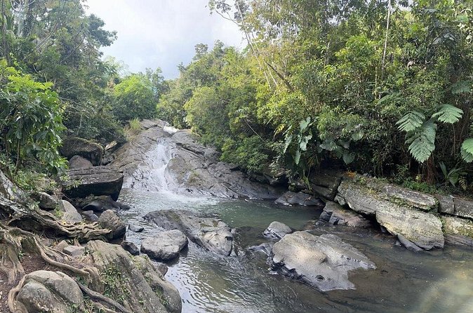 El Yunque & Beach Tour: Waterslide, Waterfall, Food, & Photos - Photos and Videos: Get the Proof Without Babysitting a Camera