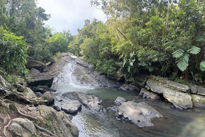 El Yunque & Beach Tour: Waterslide, Waterfall, Food, & Photos - El Yunque National Forest: the 5-Minute Hike That Gets You Right to the River