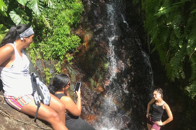 El Yunque Hike Adventure to Las Tinajas Waterfall from Fajardo - Meeting at 8:00 am in Fajardo, then heading straight into El Yunque