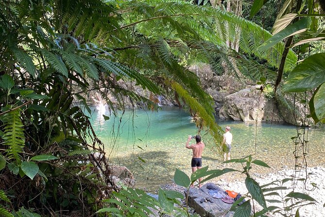 El Yunque Hike Adventure to Las Tinajas Waterfall from Fajardo - El Yunque National Forest trail time: flora, fauna, and the muddy truth