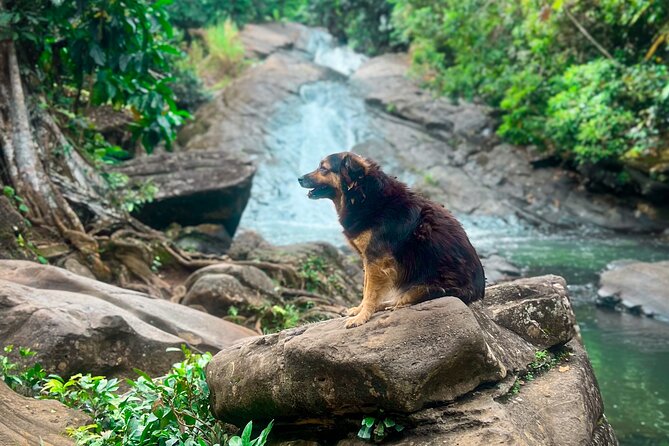 El Yunque Hike, Waterslide & Luquillo Kiosks Food with Transport - Stop 1: Las Pailas Natural Water Slides, Pools, and a Cave