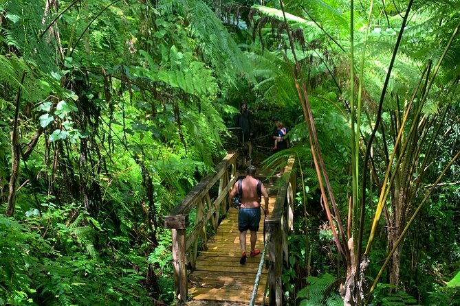 El Yunque National Forest and Luquillo Beach Combo - Key things I’d watch for