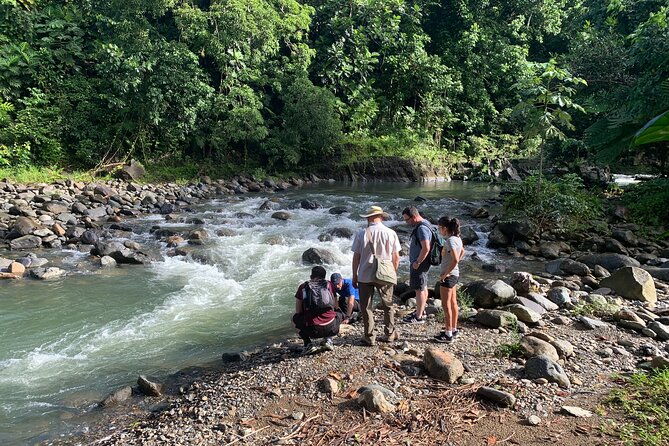El Yunque National Forest and Luquillo Beach Combo - Entering The Day: Pickup, Timing, and What You’re Paying For